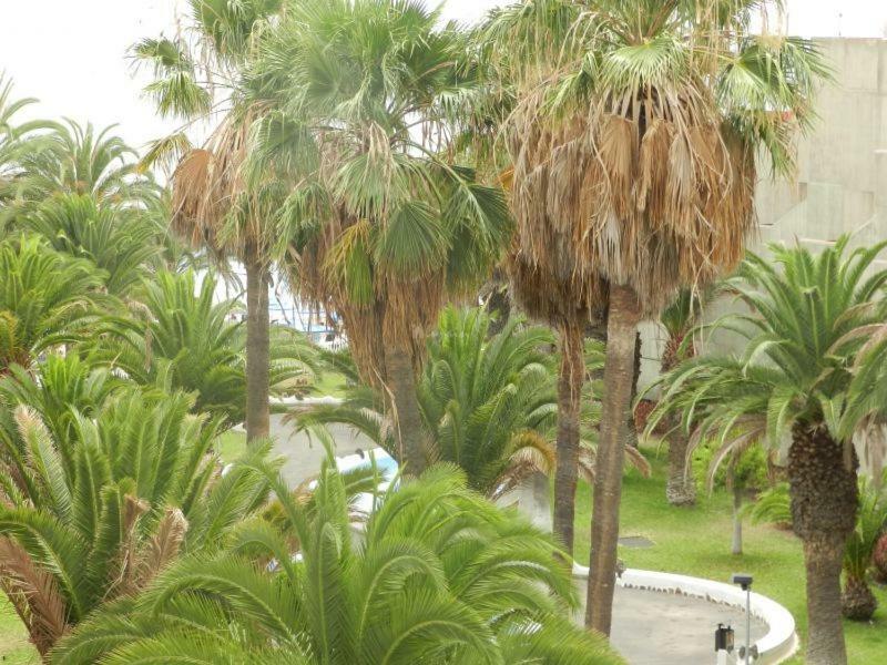 Beach-Front Tenerife Sth Sea And Pool View Costa Del Silencio Luaran gambar